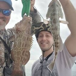 Two large gag grouper caught while fishing in FL