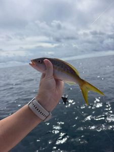 Fishing adventure in FL