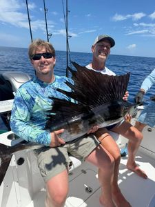 An Atlantic Sailfish caught in a fishing trip at Jensen Beach