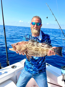 A single, majestic black grouper fish caught in FL