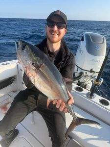 Blackfin tuna caught while fishing in Florida