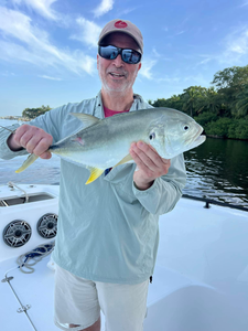 Crevalle Jack, 16-inch fishing in FL