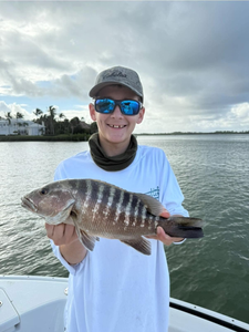 Cubera Snapper, 17-inch fish, fishing in FL