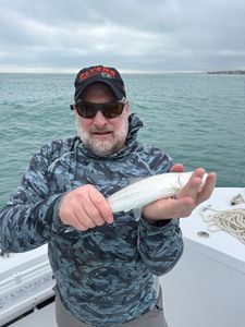 Angler fishing in Florida