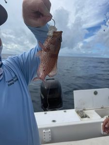 Fishing at Jensen Beach