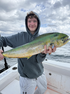 Freshly caught masterpiece!