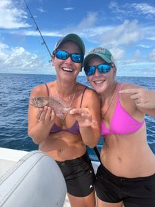 A Graysby fish caught while fishing in Jensen Beach