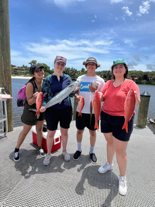 Two king mackerel, 19 inches, caught fishing in FL