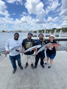 Two giant king mackerel fish caught in Jensen Beach