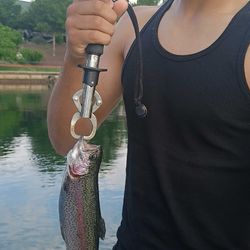 Fish-Species