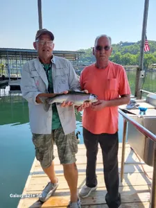 LakeTaneycomo  Fishing: Angler's Fun in Branson!