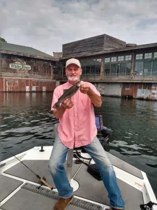 Branson Landing great Views and Big Catches