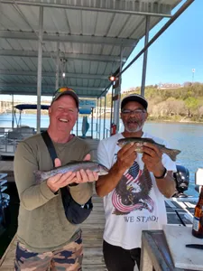 Lake Taneycomo's Tranquil Waters Beckon Anglers 