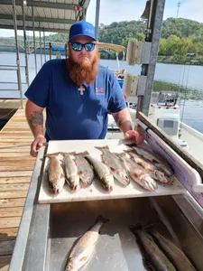 Taneycomo Scenic View and Fishing Fun!