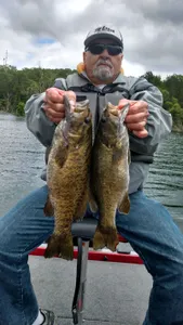 May small mouth Table Rock Lake