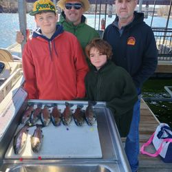 5 rainbow trout caught while fishing in Branson