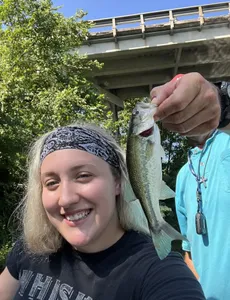 Table Rock Lake Fishing: Reel, Relax, Repeat