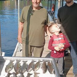 6 blue tilapia fish caught while fishing in Branson