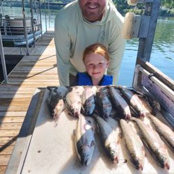 6 coho salmon and chub mackerel, fishing in MO