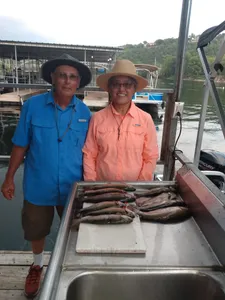 Lake Taneycomo Fishing: Cast Your Rods to the Wind