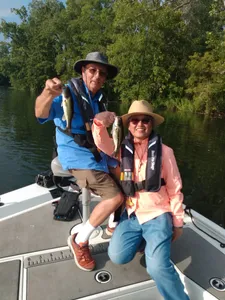 Bull Shoals Lake's Bounty and Beauty Await