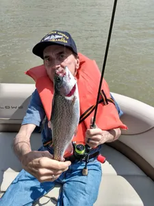 Bull Shoals Lake Fishing - Ticket to Relaxation