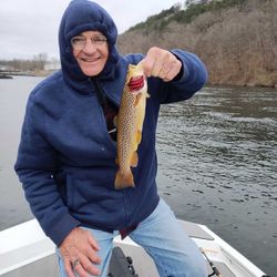 First Brown Trout Lake Taneycomo March 2024