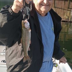 Fish-Species