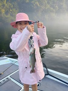 Angler catching a rainbow trout in MO