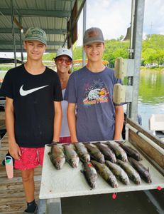 4 rainbow trout and king mackerel caught while fishing in Branson