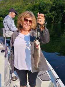 Angler catching a rainbow trout while fishing in Missouri