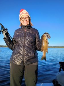 Angler fishing in Missouri