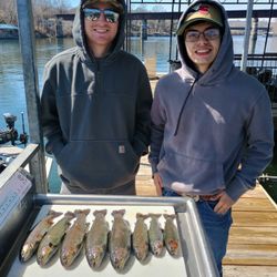 7 rainbow trout caught while fishing in Branson