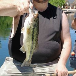 Largemouth bass caught while fishing in Missouri