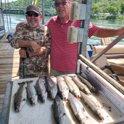9 rainbow trout caught in Branson