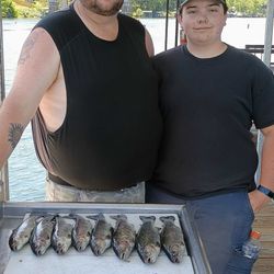Fish-Species