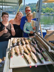 Three bluefish caught while fishing in Branson