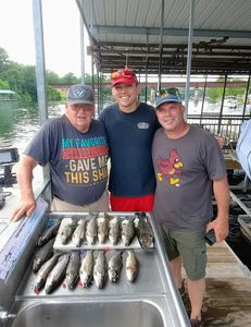 Two great barracuda fish caught in Branson