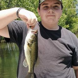 A fisherman holding a Florida Bass in Branson