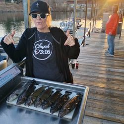 Four Atlantic Needlefish caught fishing in Branson