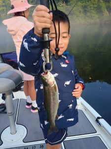 A rainbow trout caught while fishing in Branson