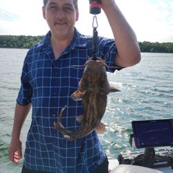 Flathead Catfish caught while fishing in Branson