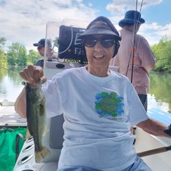 Largemouth Bass caught in Branson