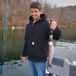 A rainbow trout caught in Branson, Missouri