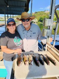 Seven redfish caught in Branson during fishing trip