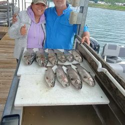 Fish-Species