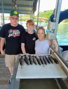 Two coho salmon, 6 inches each, caught while fishing in Branson