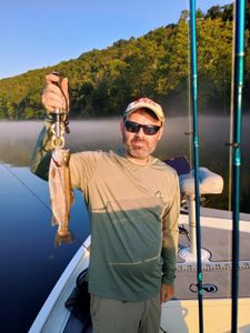 Cutthroat trout caught while fishing in Branson