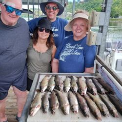 14 rainbow trout fish caught on fishing trip in MO