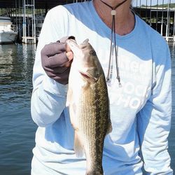 One angler fishing in Branson